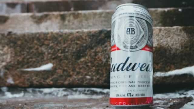 Anheuser-Busch InBev Profit Jumps as Beermaker Cuts Costs