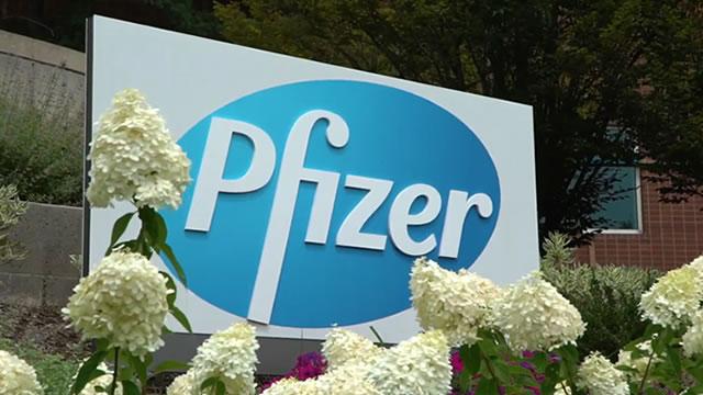 Pfizer: Peer-Leading Dividend And Potential Substantial Shareholder Returns