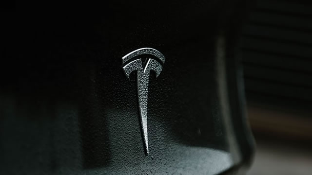 Tesla has a rosy AI future to this analyst, but tariff worries are weighing on the stock