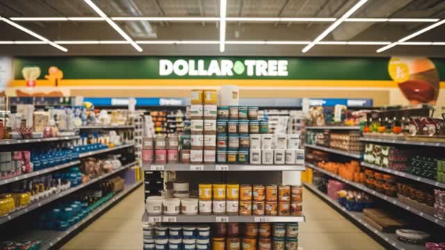 Dollar Tree has more than just wealthier customers to handle tariffs: analysts