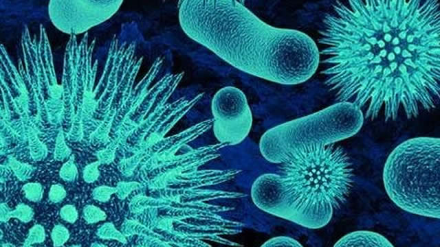 Viking Therapeutics Stock May Struggle After As-Expected Report