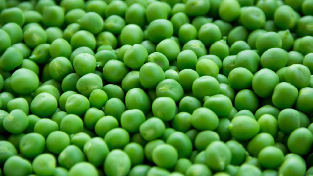 Seneca Foods: A Volatile, But Worthwhile, Prospect To Consider