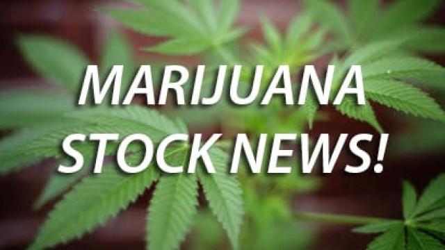 Top Marijuana Stocks For Investors Who Trade Cannabis Today