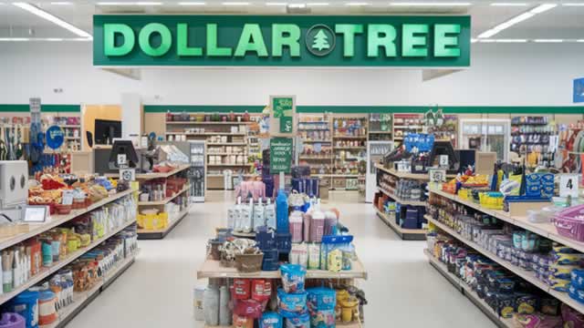 Dollar Tree Stock Falls After Earnings Beat