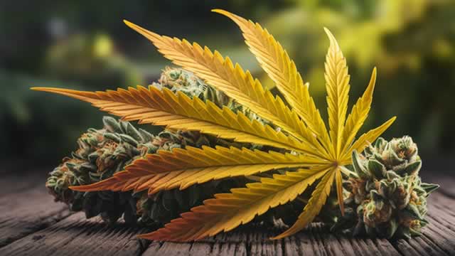 Aurora Cannabis Shares Fall on Polish Setback, Higher Costs in 4Q