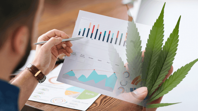 Cannabis Sector Spotlight: Ancillary Stocks to Watch This Month