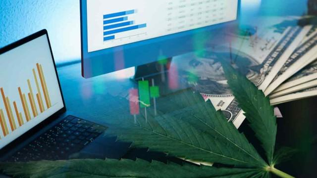 3 Marijuana Stocks To Watch In The Stock Market Today