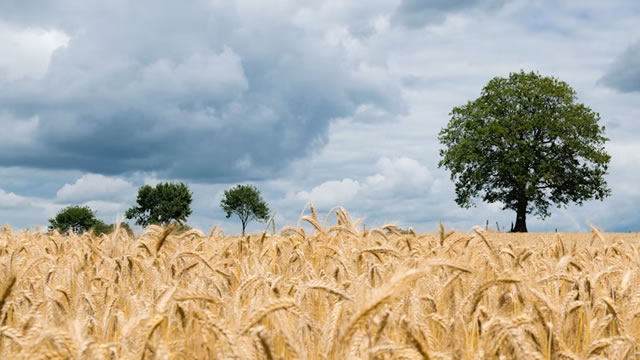 US-based ADM shuts down Brazil pet food plant