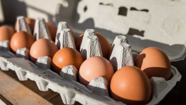 Vital Eggs CEO: Our unique supply chain approach hasn't been impacted by bird flu