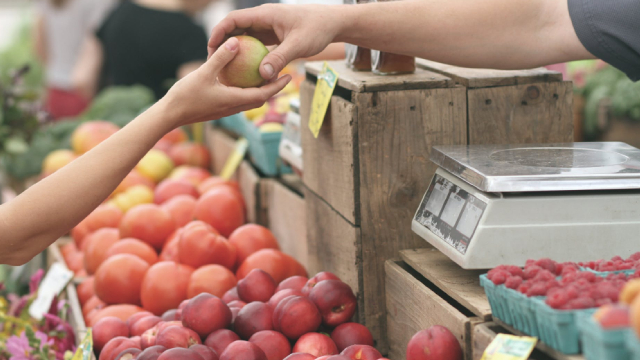Ollie's Q1 Earnings: The Good, the Bad, and What's Next