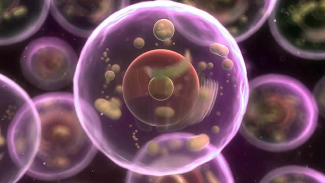KalVista: Poised For Rare Disease Transformation