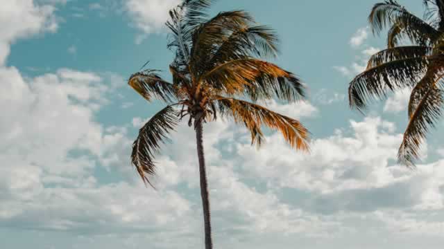 Royal Caribbean Seeing Inflows
