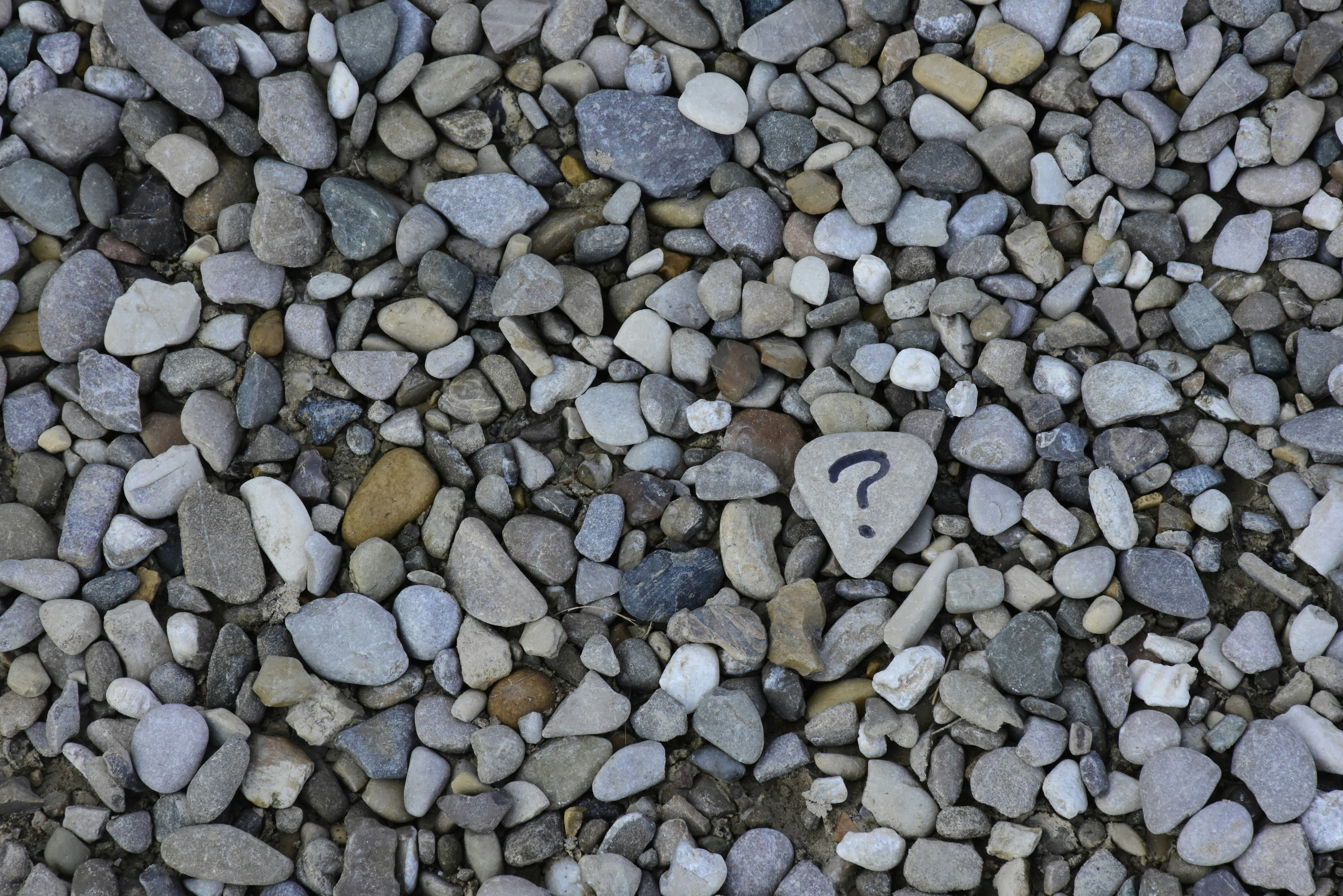 Photo by Ana Municio on Unsplash