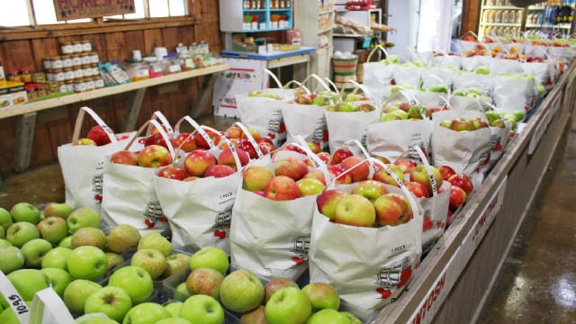 Some grocers are using AI to cut food waste and boost profit margins