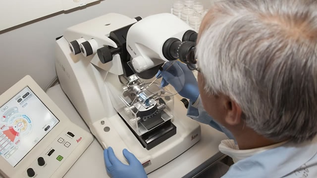 FDA Puts Cassava's Simufilam Epilepsy Trial On Full Clinical Hold