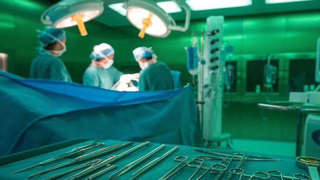 Bausch + Lomb Q2 Earnings Call Highlights
