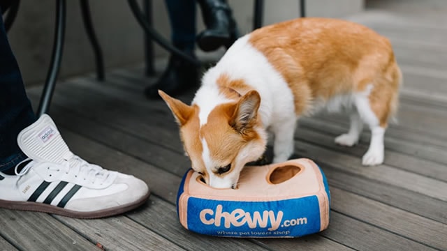 Historic Signal Says Chewy Stock Has More Room to Run
