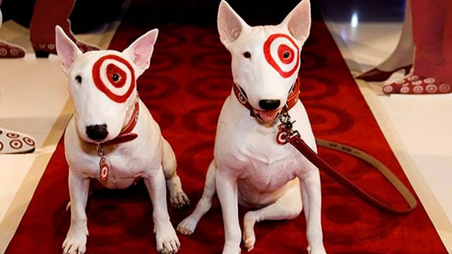 Target shares tumble as sales fall and retailer picks new CEO