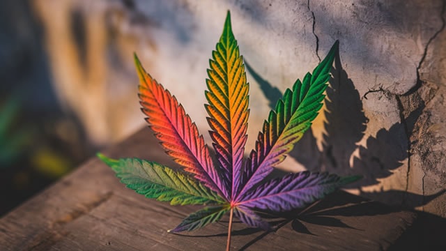 Tilray stock price sits and waits for Trump cannabis rescheduling