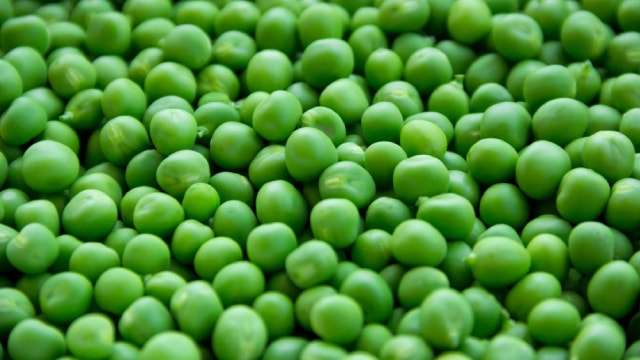 3 Top Ancillary Cannabis Stocks to Watch in February 2026