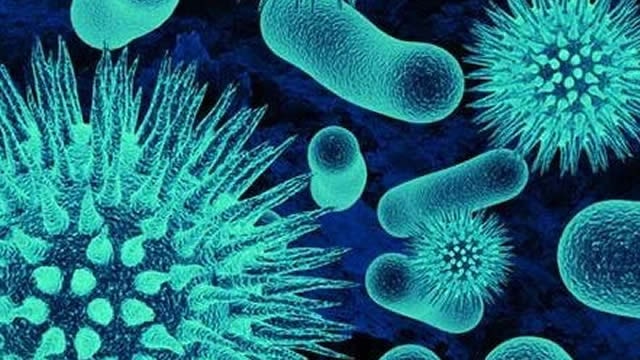 Axsome Therapeutics Analysts Increase Their Forecasts After Q2 Earnings