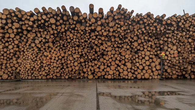 America's Largest Landowner Is Using AI to Digitize the Forest