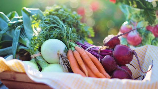 Mission Produce Stock Slices Through Q3 Expectations