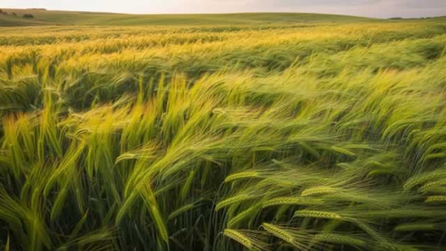 Corteva Narrows Loss, Raises Sales View Ahead of Seeds Spinoff