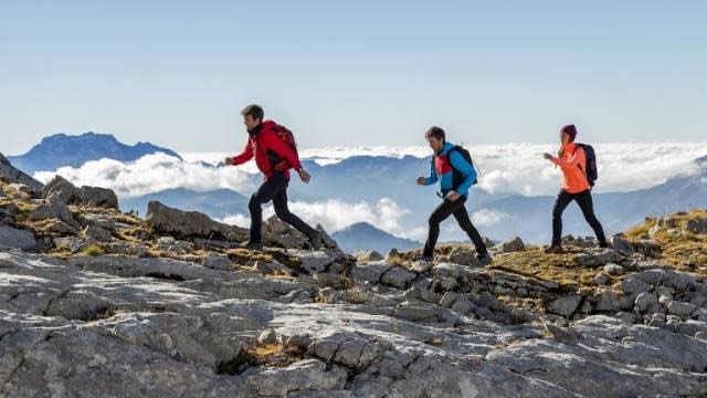 Dick's Sporting Goods forecasts annual sales above estimates on steady demand