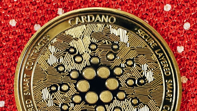 Cardano Faces Selling Pressure While On-Chain Activity Tells a More Bullish Story