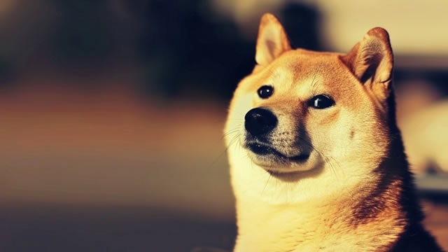 Key Dogecoin Indicator Flashes a Buy Signal After DOGE Sank to a 3-Year Low