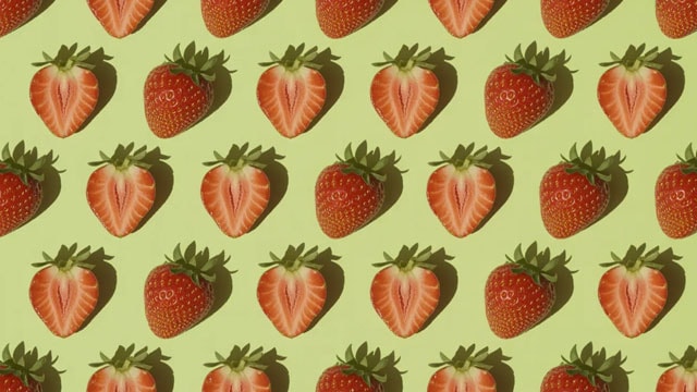 BranchOut Food Q1 Earnings Call Highlights