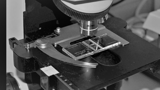 As AI Stocks Like Nvidia Get Rattled, This Behind-The-Scenes Data Center Play Heats Up