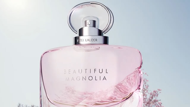 Estée Lauder And Puig Brands Merger Talks Divide Street Analysts