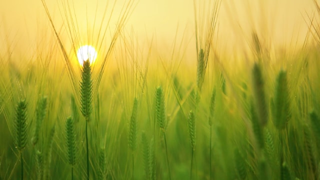 Jim Cramer walks through the financials for Magnum Ice Cream