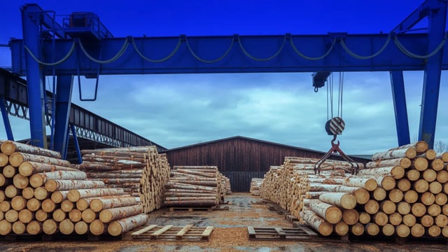 Weyerhaeuser Q2 Earnings Call Highlights