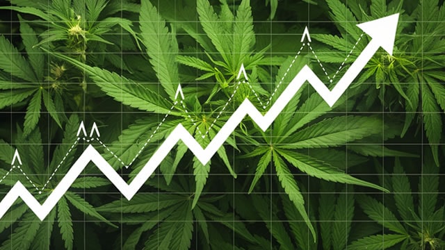 SNDL earnings results validate cannabis and alcohol strategy