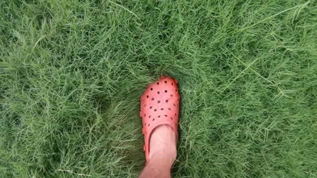 Crocs Could Turn The Corner As Analyst Sees Tariff Pain Hitting Its Peak