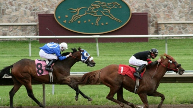 DraftKings and MGM shares rise as new bill threatens to ban sports gambling on Kalshi, Polymarket