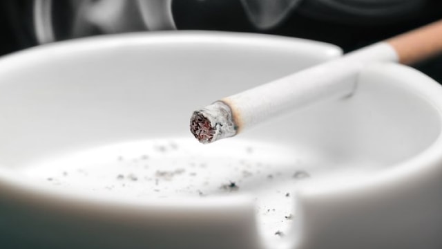 The 2 Marijuana Stocks Today Could Make You Money Today