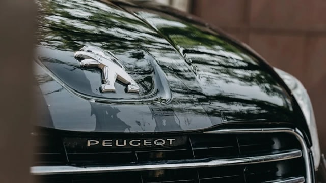 Stellantis CEO backs German push to ease EU car emissions rules ahead of key review