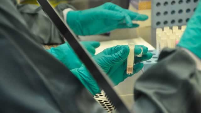 Ozempic Price War - Novo Nordisk Slashes Prices By 50%